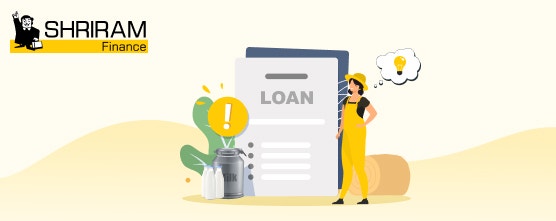 Top 10 Tips for Securing a Dairy Farm Loan