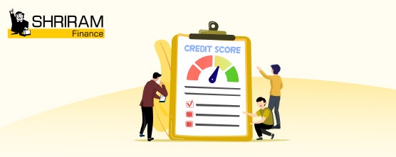 Consumer credit report