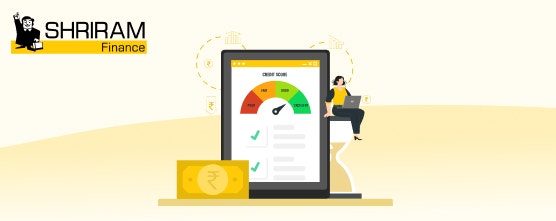 Experian Credit Information Report