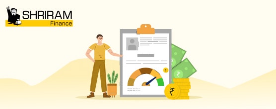 CRIF Report Importance