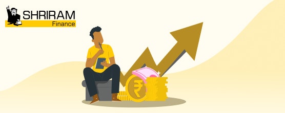 A Guide to Investing in Dividend Stocks for Regular Income